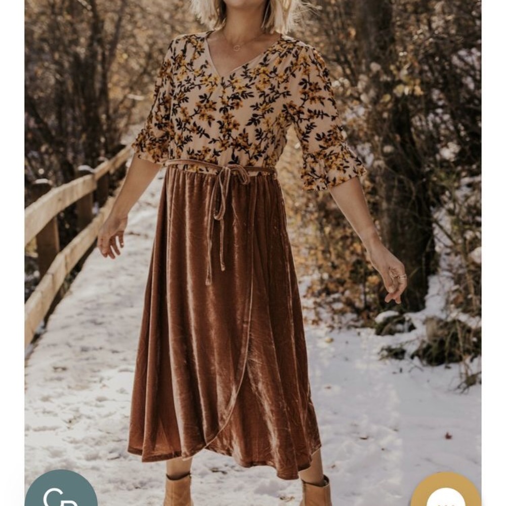 Roolee Velvet Dress